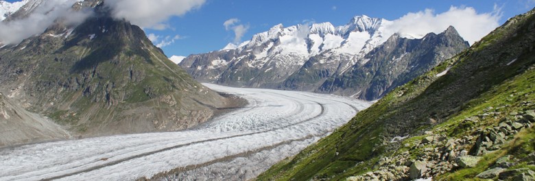 Ledovec Aletschgletscher