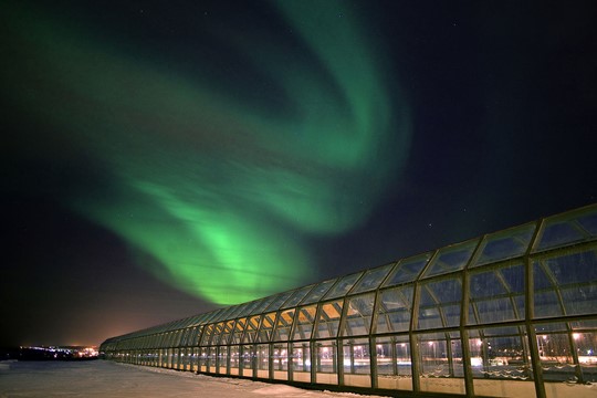 1280px-Arktikum_and_Northern_Lights