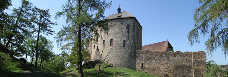 Hrad Točník