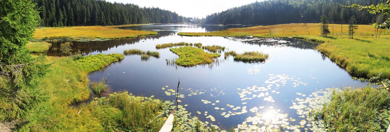 Velké Javorské jezero