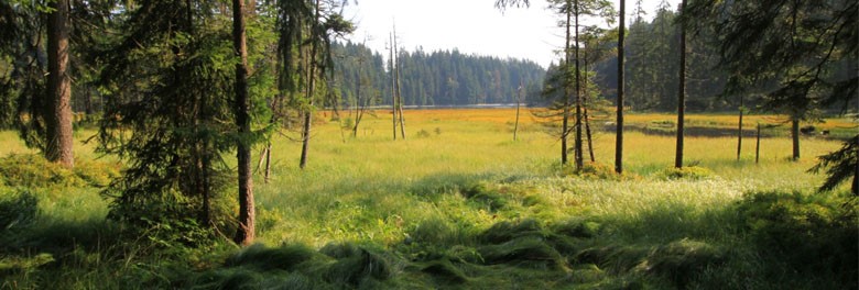 Šumava a Bavorsko