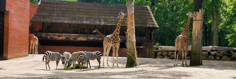 ZOO Liberec