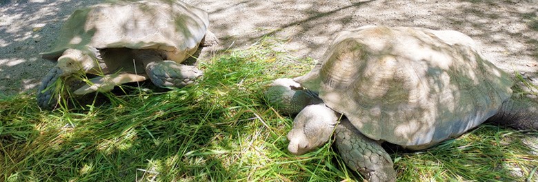 ZOO Salzburg