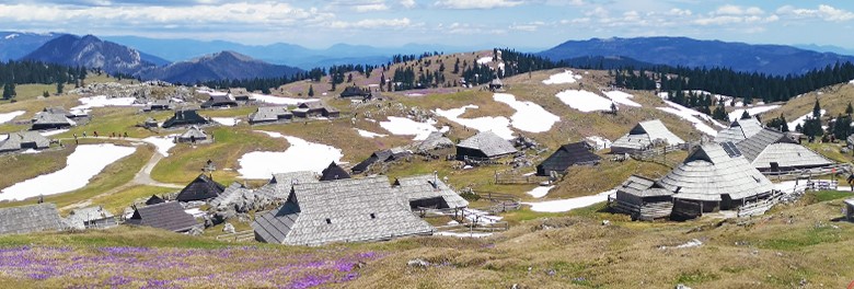 Velika Planina