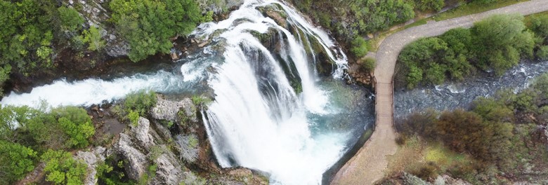 Topoljski buk / Krčić