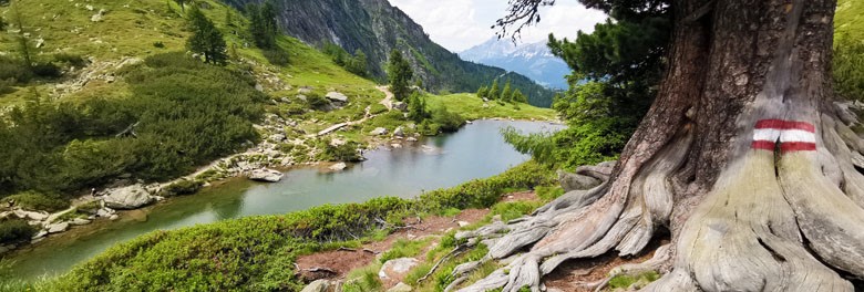 Spiegelsee a Reiteralm
