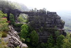 Gallery_12919541
