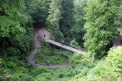 Gallery_12919545