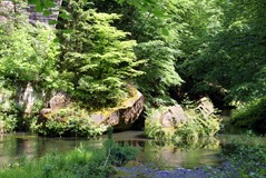 Gallery_12919553