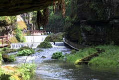 Gallery_12919561