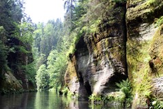 Gallery_12919565