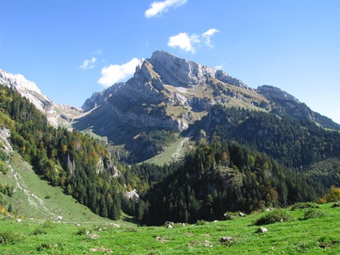 Wildhauser_Schafberg