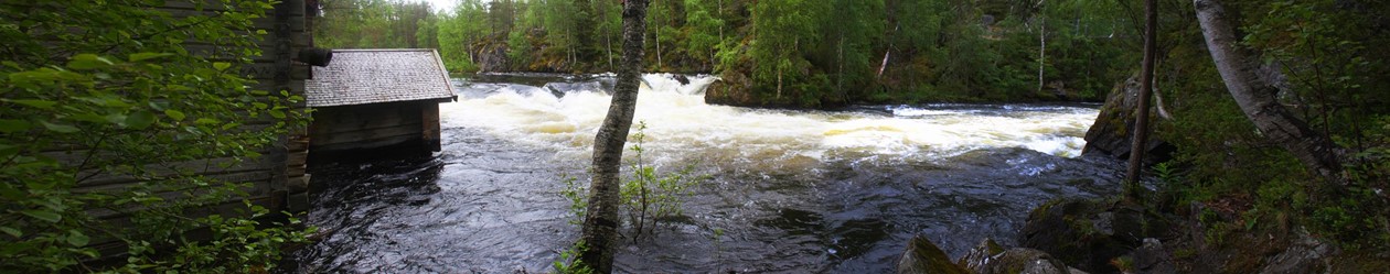 [Group 10]-IMG_7140_IMG_7142-3 images