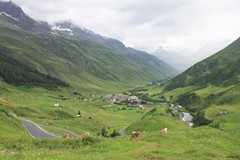 IMG_2784