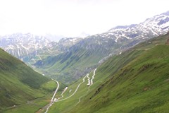 IMG_2810