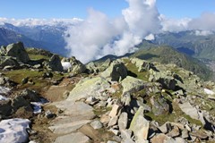 IMG_2953