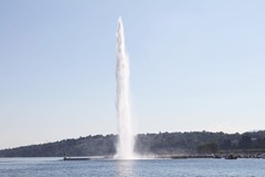 IMG_3442