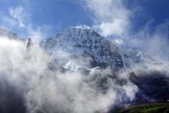 IMG_3616