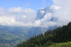 IMG_3777