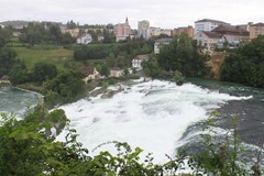 IMG_3821