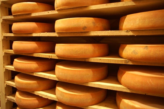 Meules_gruyere