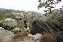 IMG_9192