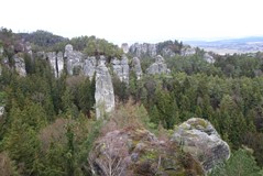 IMG_9244