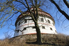 IMG_9381