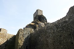 IMG_9490