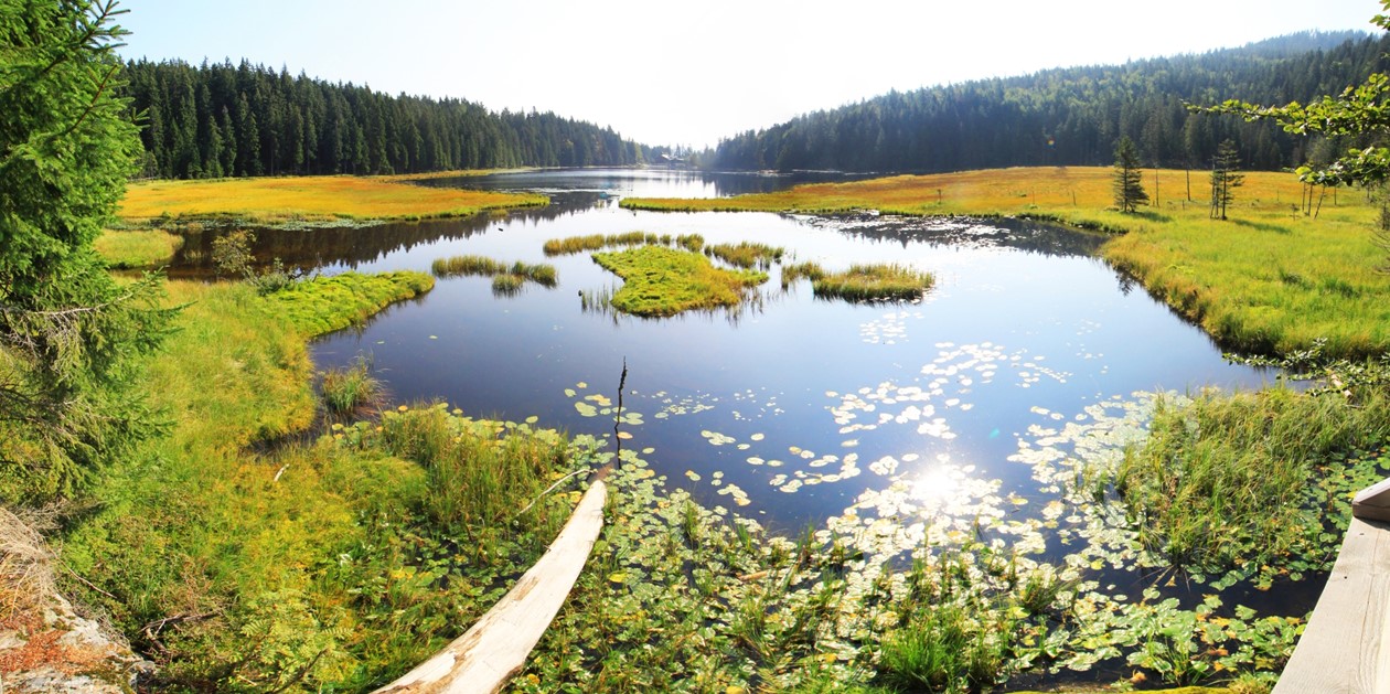 Velké Javorské jezero