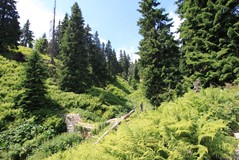 IMG_0337