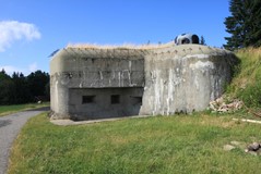 IMG_0595