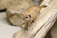 IMG_0608