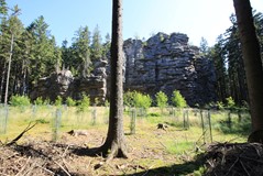 IMG_9919