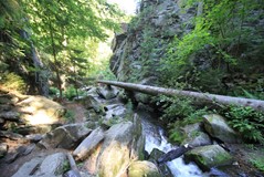 IMG_0511