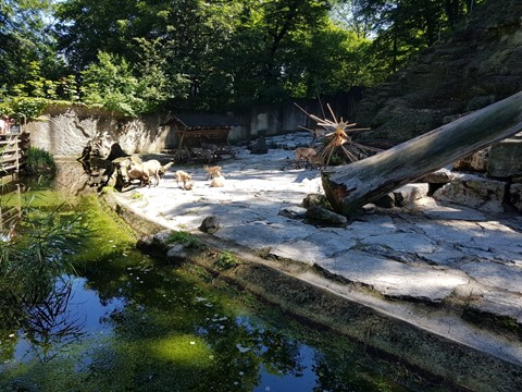 ZOO Salzburg