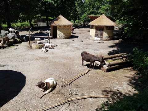 ZOO Salzburg