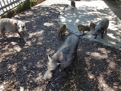 ZOO Salzburg