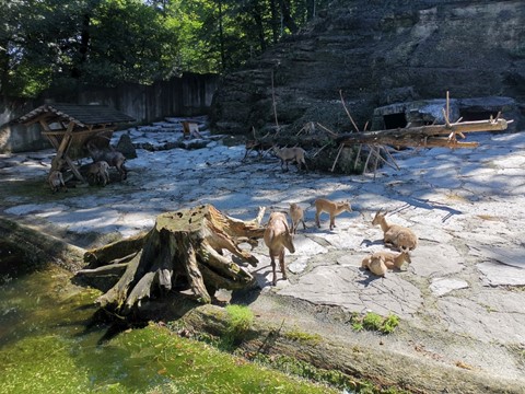 ZOO Salzburg