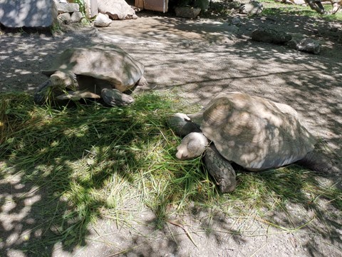 ZOO Salzburg