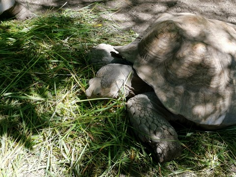 ZOO Salzburg