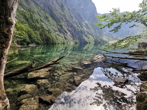 Obersee