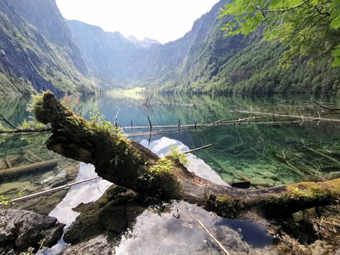 Obersee