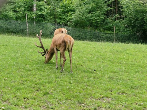 Märchenpark und Erlebnispark