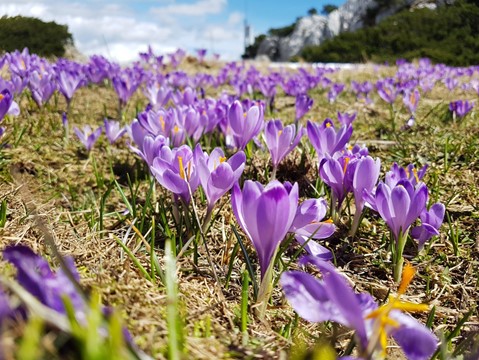 Velika Planina - Slovinsko