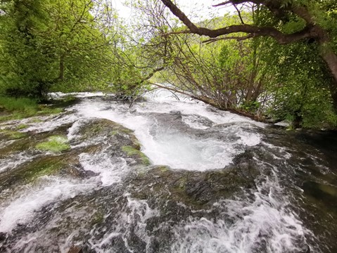 Skradinski buk