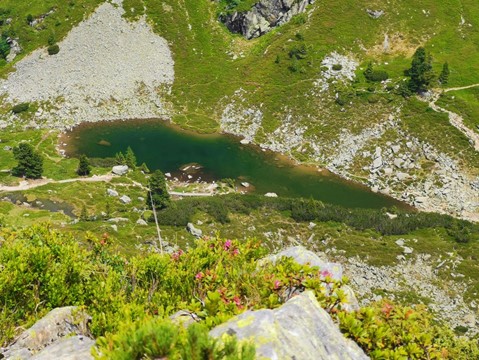 Spiegelsee a Reiteralm