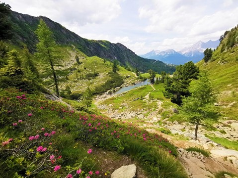 Spiegelsee a Reiteralm