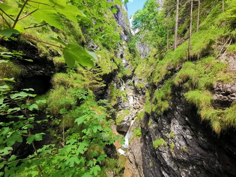 Wörschachklamm