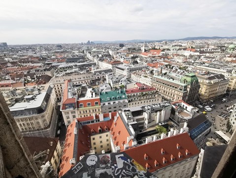 Katedrála sv. Štěpána